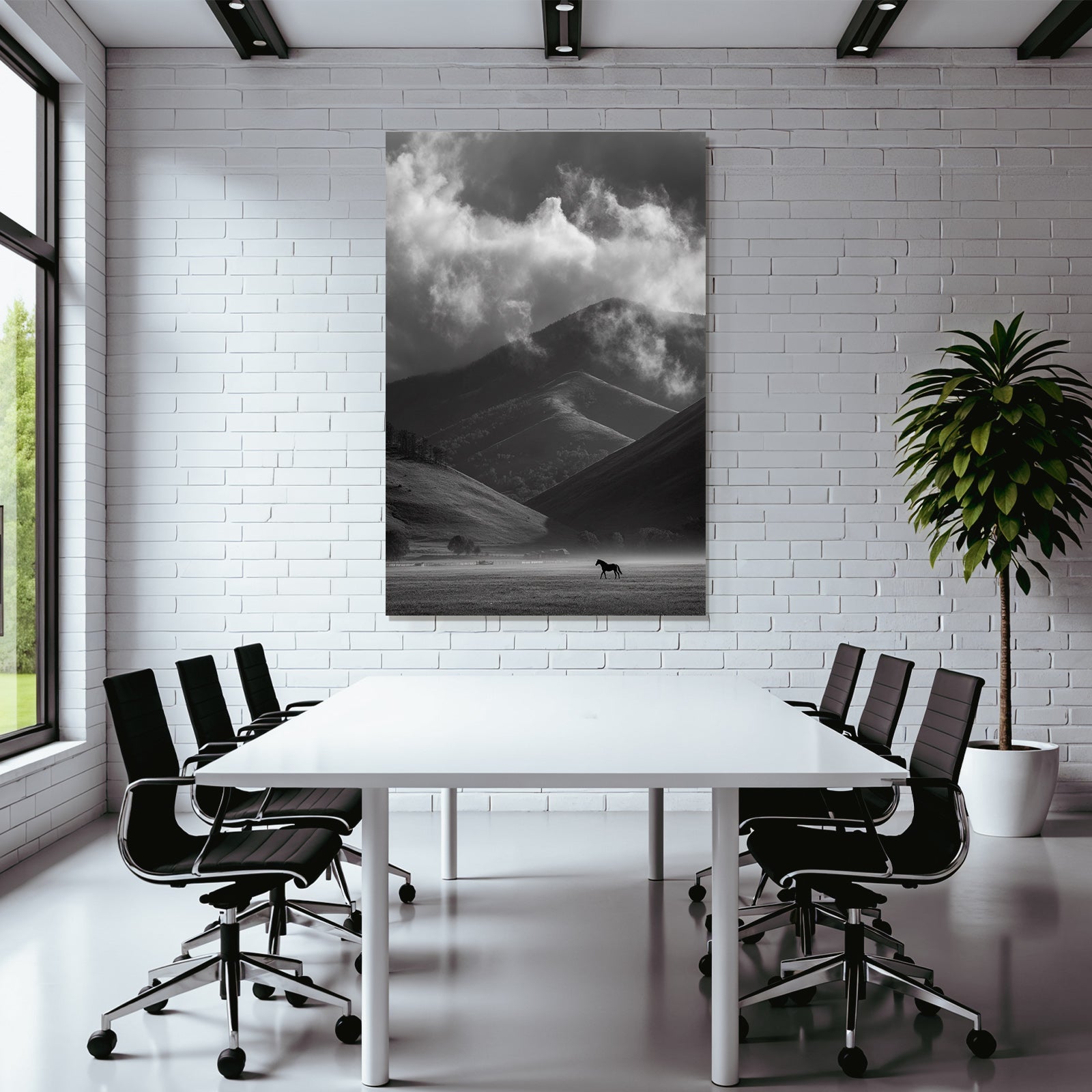 Schwarz Weiss Landschaft Mit Pferd