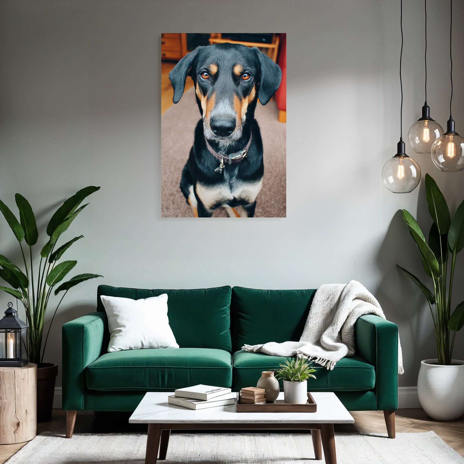 Schwarzer Und Tan Hund Sitzend Ausdrucksvolle Augen