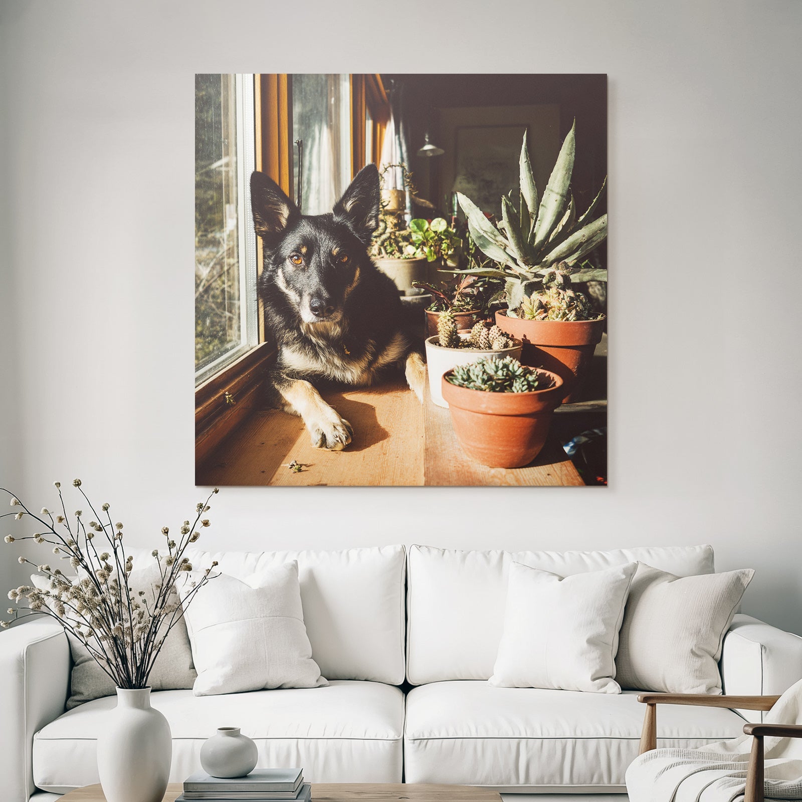 Schwarzer Hund Mit Spitzen Ohren Am Fenster Mit Topfpflanzen Im Sonnenlicht