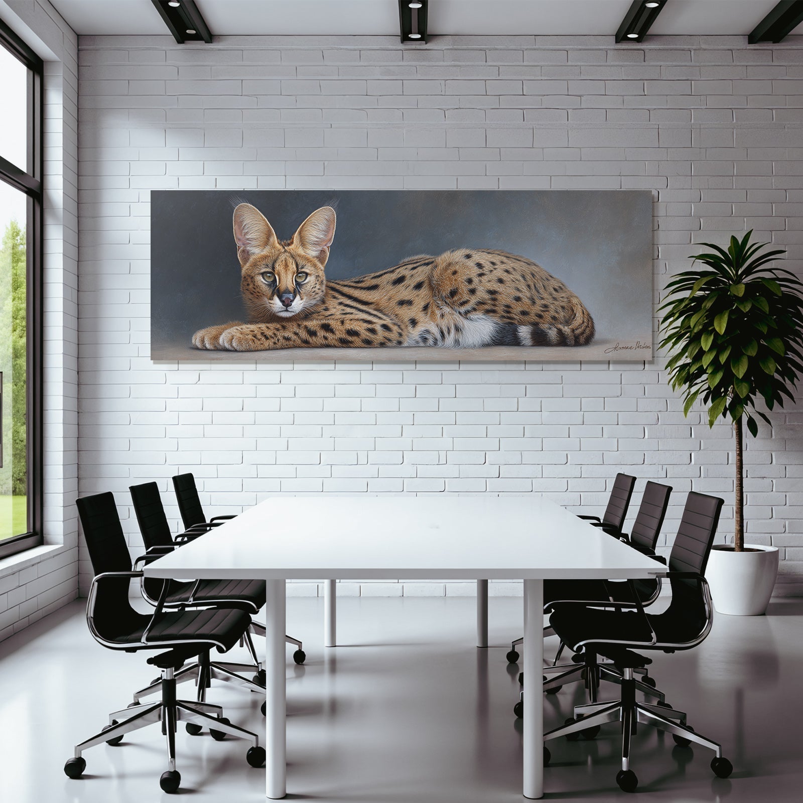 Serval Wildkatze Afrika Mit Langen Beinen Grossen Ohren Und Geflecktem Fell