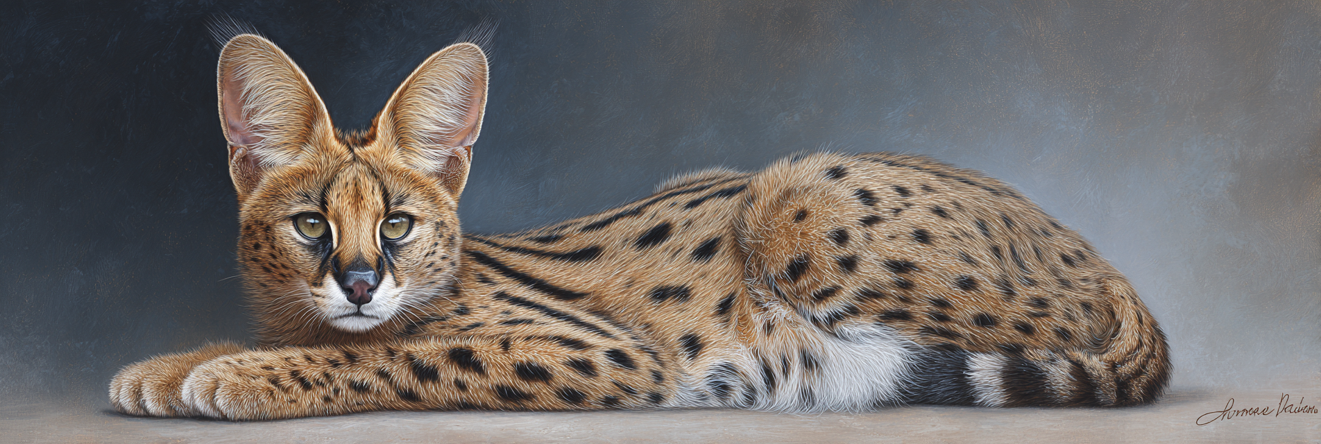 Serval Wildkatze Afrika Mit Langen Beinen Grossen Ohren Und Geflecktem Fell | Safari und Wildtiere | Tiere