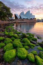 Moderne Szenischer Ausblick Sydney Opera House Mit Felsen Und Moos Im Hintergrund Sonnenuntergang | Moderne Architektur | Architektur