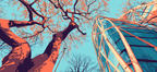 Moderne Baum Und Kreative Bildkomposition | Moderne Architektur | Architektur