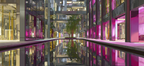 Moderne Moderne Architektonische Raum Mit Wassermerkmal Und Grünen Elemten | Moderne Architektur | Architektur