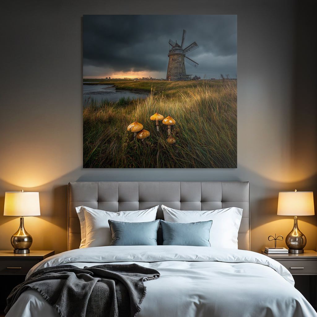 Windmühle Und Wasser Mit Pilzen Und Dramatischem Himmel