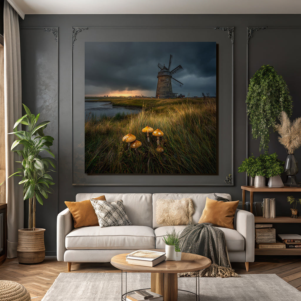 Windmühle Und Wasser Mit Pilzen Und Dramatischem Himmel