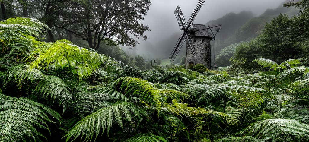 Grüne Landschaft Mit Windmühle Umgeben Von Farnen Und Bäumen | Windmuehlen Leuchttuerme Bruecken | Architektur