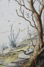 Schlangendarstellung Im Wald | Botanische Illustrationen | Blumen