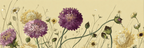 Botanische Illustration Detailreiche Blüten Verschiedene Farben Beige Hintergrund | Botanische Illustrationen | Blumen