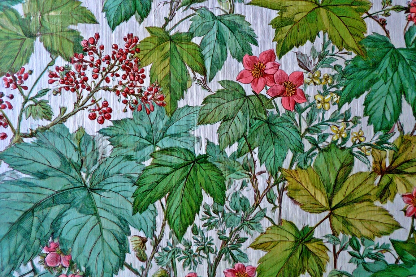 Dekoratives Pflanzen Und Muster | Botanische Illustrationen | Blumen