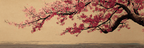 Kirschblüten Zweig Vor Texturiertem Hintergrund | Japanische Zierkirsche | Blumen