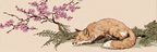 Schlafender Fuchs Umgeben Von Ersblühenden Kirschblüten Und Farnen | Japanische Zierkirsche | Blumen