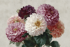 Schöne Dahlienanordnung Mit Farbvielfalt Und Grünen Blättern | Japanische Zierkirsche | Blumen
