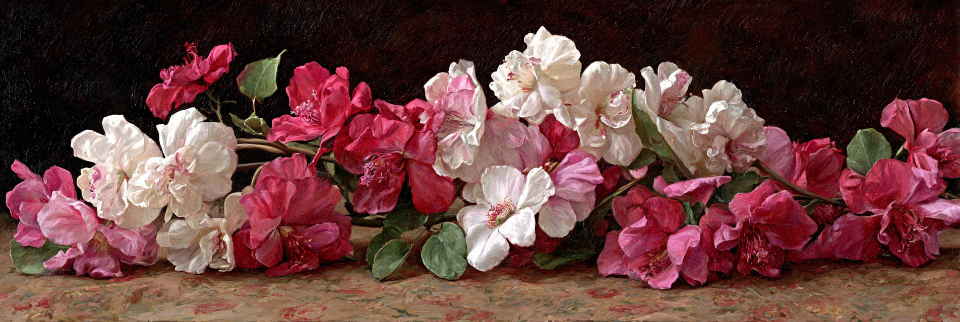 Orchideen Anemonen Pfingstrose Stillleben Mit Rosa Und Weissen Blüten | Orchideen  Anemonen  Pfingstrose | Blumen
