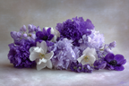 Orchideen Anemonen Pfingstrose Violette Und Weisse Anordnung | Orchideen  Anemonen  Pfingstrose | Blumen