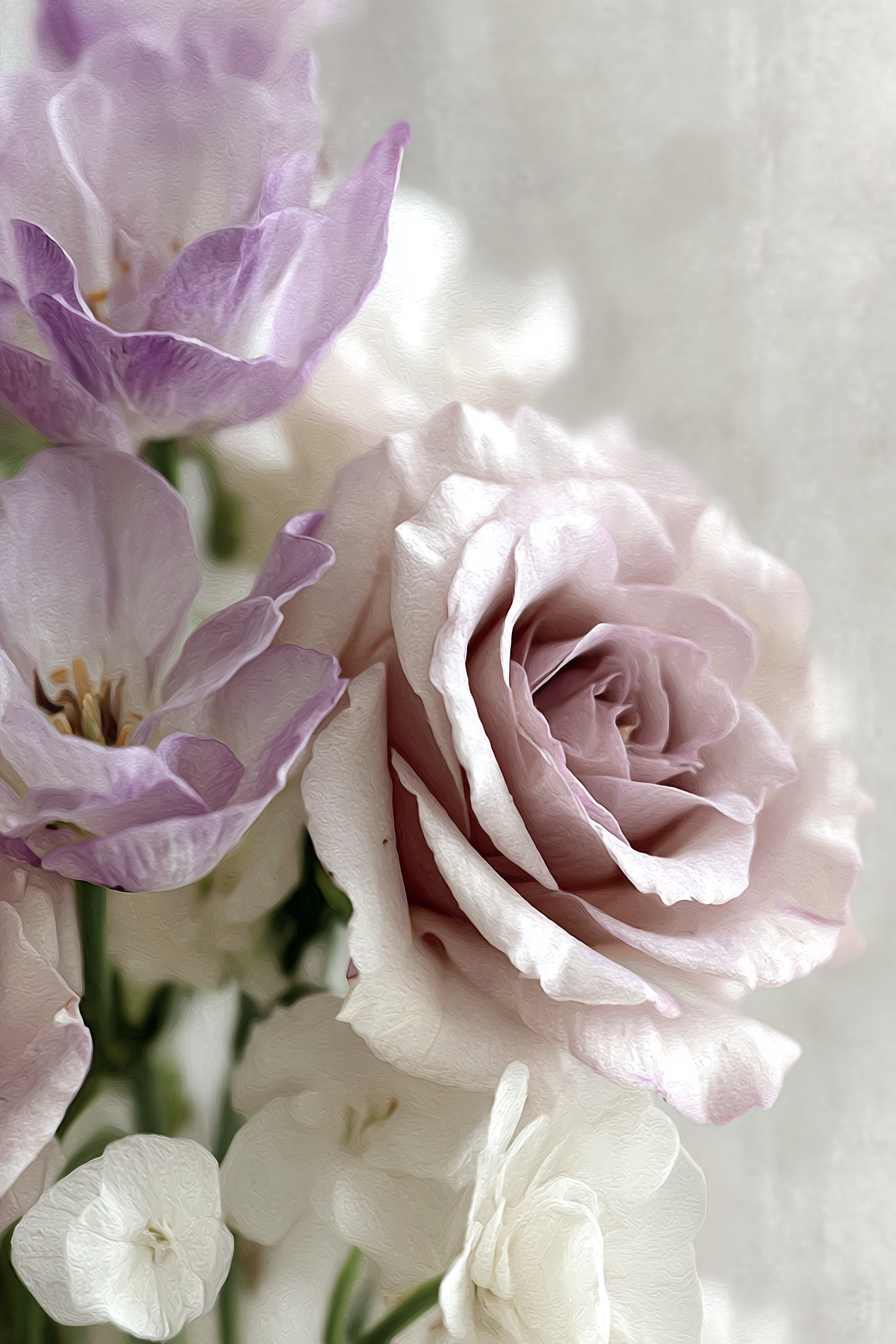 Sanfte Lila Rose Und Zarte Weisse Blüten Im Unscharfen Hintergrund | Rosen Tulpen Lavendel | Blumen