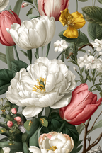 Schone Anordnung Mit Weissen Pfingstrosen Und Farbigen Tulpen Auf Graüm Hintergrund | Rosen Tulpen Lavendel | Blumen