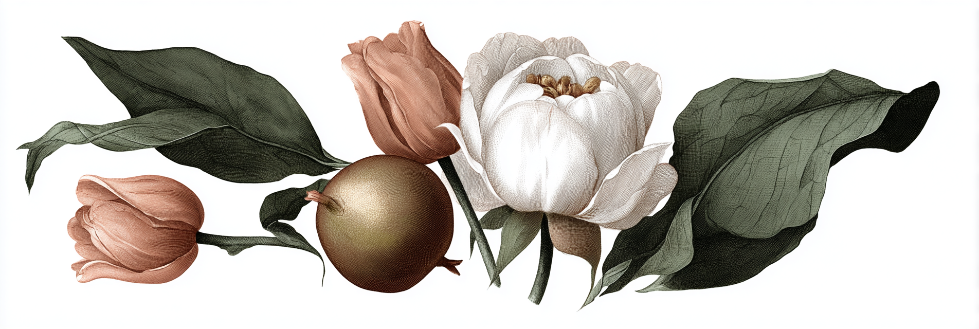 Botanische Vintage Illustration Blätter Und Apfel | Rosen Tulpen Lavendel | Blumen