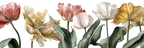 Bunte Tulpen Illustration | Rosen Tulpen Lavendel | Blumen