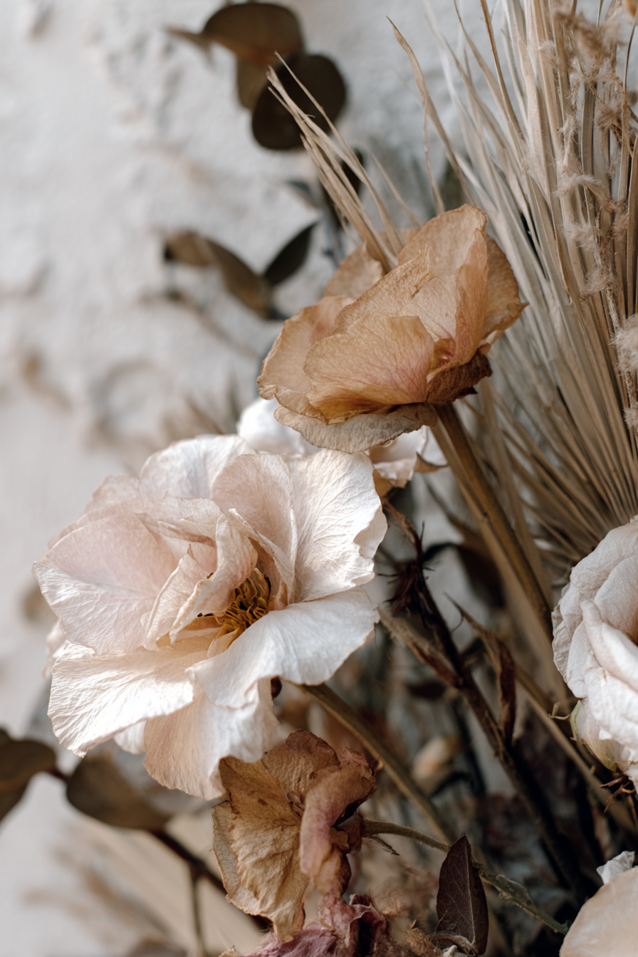 Trocken Retro Flowers Dried Flowers Verzierung Natürlich Design | Trockenblumen Retro Flowers | Blumen
