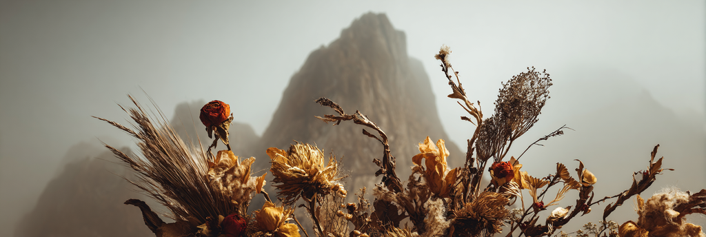 Trocken Retro Flowers Getrocknete Mit Montanlandschaft Im Hintergrund | Trockenblumen Retro Flowers | Blumen
