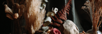 Trocken Retro Flowers Trockene Pflanzen Stillleben Dunkler Hintergrund Draperie | Trockenblumen Retro Flowers | Blumen