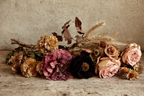 Trocken Retro Flowers Getrocknete Arrangement Rustikaler Hintergrund Erdige Farben Vintage | Trockenblumen Retro Flowers | Blumen
