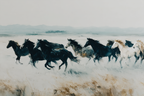 Gruppe Pferde Laufen Verschwommene Landschaft Kunstwerk | Grandeur Chic | Einrichtungsstile