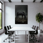 Schwarzes Pferd Im Nebelhafte Landschaft Mystische Stimmung