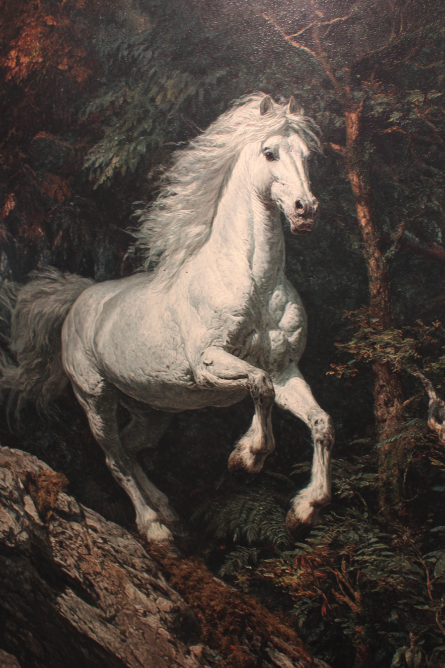 Weisser Pferd Springen Im Wald Landschaft | Klassisch | Einrichtungsstile