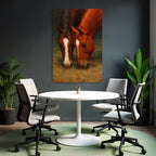 Zwei Pferde Weide Black Mane White Markings Red Brown Color Painted Texture