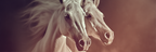 Weisse Pferde Grace And Beauty Dynamische Pose | Klassisch | Einrichtungsstile