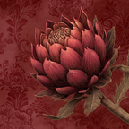 Botanische Blume Mit Rotem Hintergrund Dekorative Darstellung | Klassisch | Einrichtungsstile