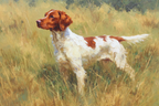 Braun Und Weiss Hund Im Feld Mit Hoch Gras | Klassisch | Einrichtungsstile