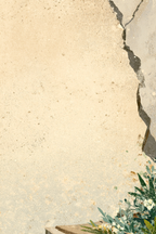 Gealterte Wand Mit Pflanzen Hintergrund Vintage Aesthetik | Modern Basic | Einrichtungsstile