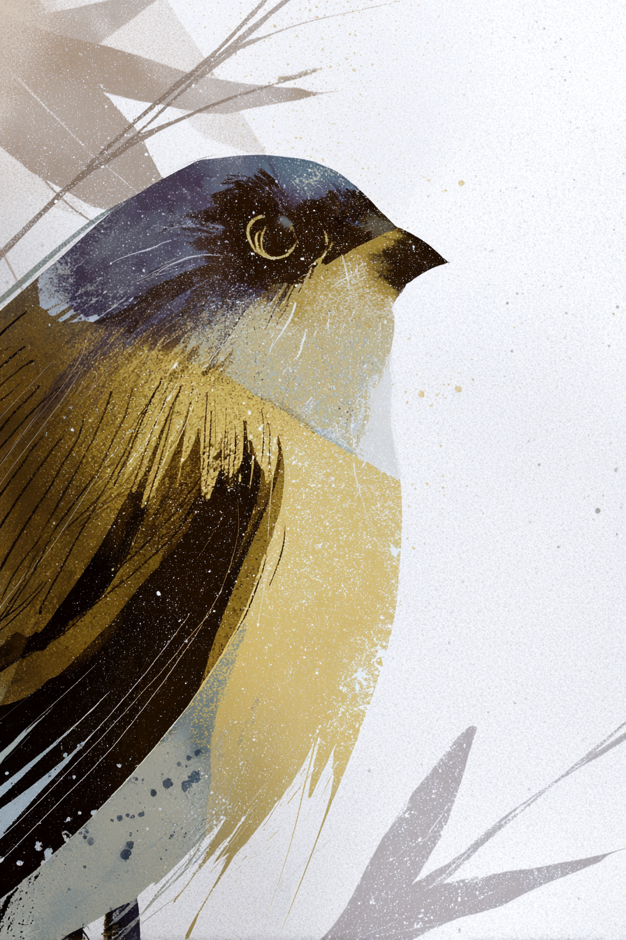 Vogel Illustration | Skandinavisch | Einrichtungsstile