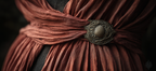 Ornamentaler Gurt Schleife Stoff Detail Rote Braune Farbe | Bronze Anthrazit Terrakotta | Farbenwelten