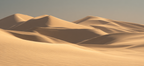 Sanddünenlandschaft Warmfarbpalette Naturliche Schönheit | Gold und Beige | Farbenwelten