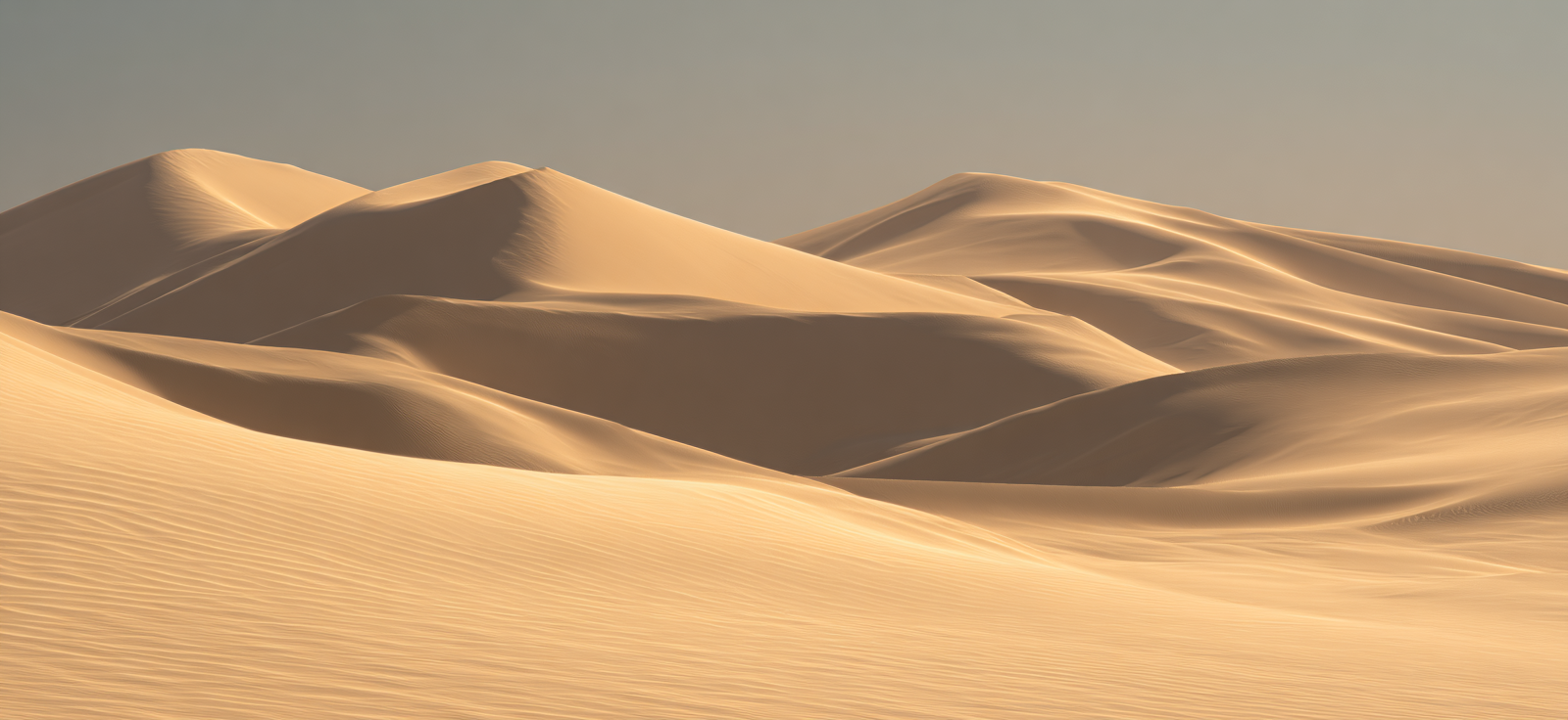 Sanddünenlandschaft Warmfarbpalette Naturliche Schönheit | Gold und Beige | Farbenwelten