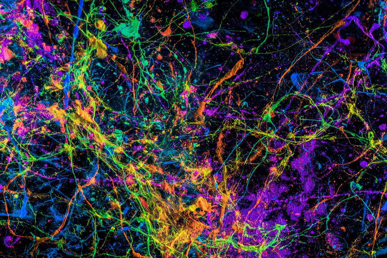 Neon Und Popfarben Buntes Abstract Muster Neurale Verbindungen Zellstruktur | Neon und Popfarben | Farbenwelten