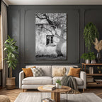 Alte Wettergegerbte Wand Mit Fenster Und Baum Schatten