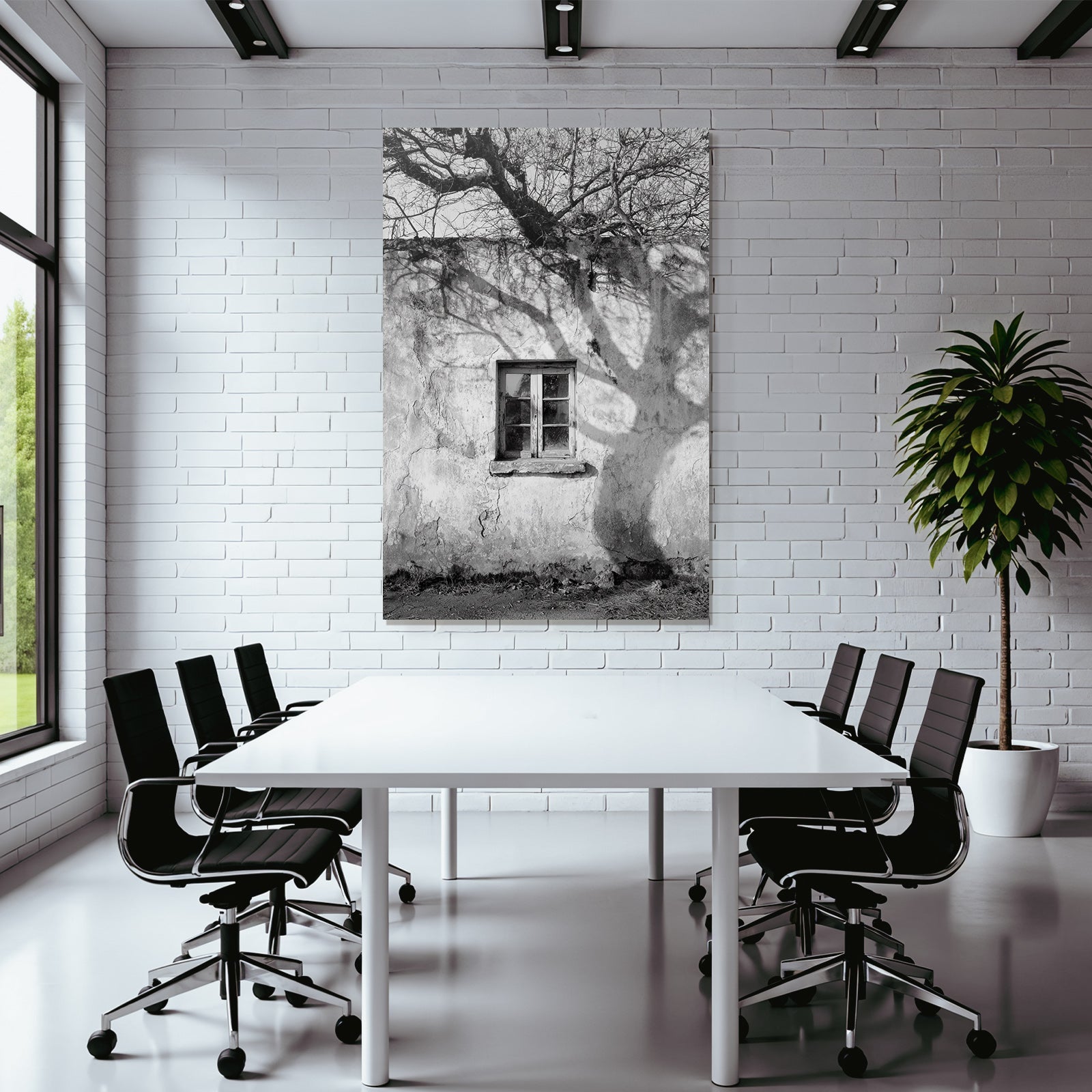 Alte Wettergegerbte Wand Mit Fenster Und Baum Schatten