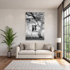 Alte Wettergegerbte Wand Mit Fenster Und Baum Schatten