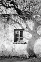 Alte Wettergegerbte Wand Mit Fenster Und Baum Schatten | Schwarz Weiss | Farbenwelten