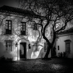 Historisches Gebäude Mit Fenstern Und Schatten Von Baum | Schwarz Weiss | Farbenwelten