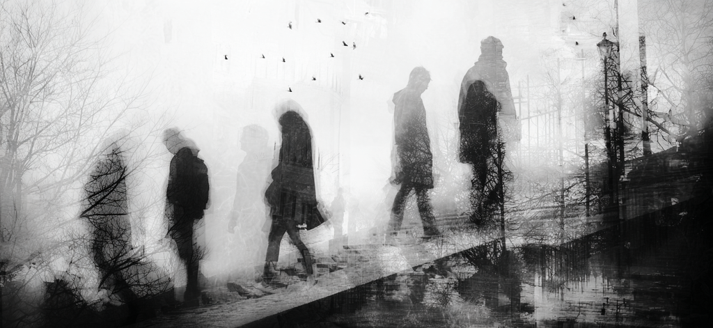 Bewegung Isolation Reflexion Schatten Von Menschen Und Natur | Schwarz Weiss | Farbenwelten