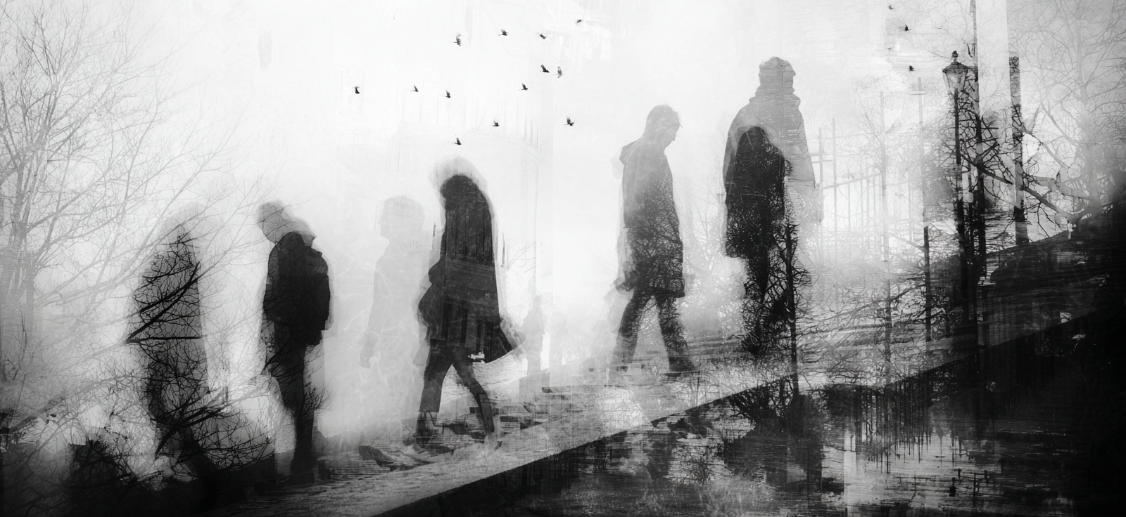 Bewegung Isolation Reflexion Schatten Von Menschen Und Natur | Schwarz Weiss | Farbenwelten