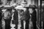 Regen Tag Im Stadtleben Mit Regenschirmen Bw | Schwarz Weiss | Farbenwelten