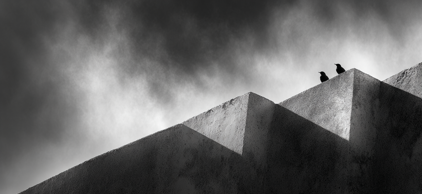 Vogel Auf Geometrischer Struktur Schwarz Und Weiss Fotografie | Schwarz Weiss | Farbenwelten