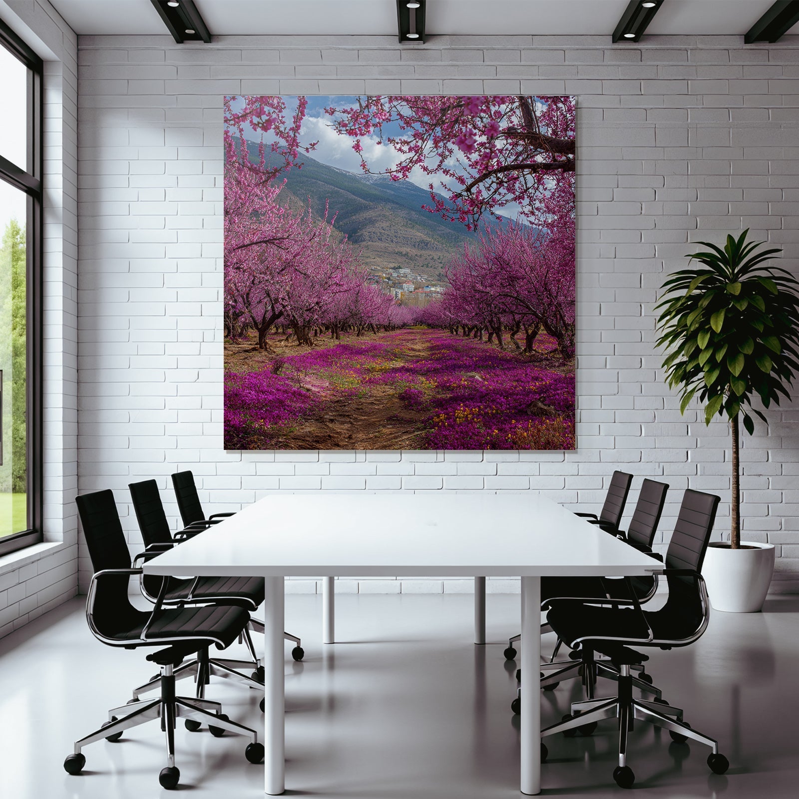 Blühende Bäume Pinke Blüten Montagne Hintergrund Blumenwiese